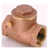 Dci #2839 - Check Valve Swing 1