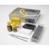 Clearfil SE Bond 2 Dental Adhesive Value Kit. Two-step, self-etch
