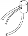 DCI #8119 - Universal Manifold, Long, Self Centering Neck, w/ Barbs