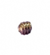 Dci #9796 - Set Screw 6-32 X 1/8 Zinc