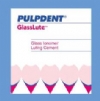 GlassLute Kit: 30g powder, 15ml liquid, scoop, mixing pad
