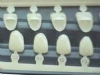 Ion Polycarbonate Crowns  -  Box Of 5