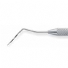 Probe Perio SE - Michigan O -  Premier Dental