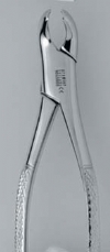 Forcep 17 -  Premier Dental