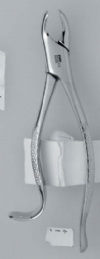Forcep 18L -  Premier Dental