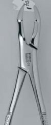 Forcep 53L -  Premier Dental