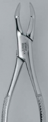 Forcep 53R -  Premier Dental