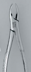 Forcep 101 -  Premier Dental