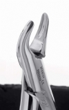 Forcep 150 -  Premier Dental