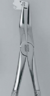 Forcep Urg -  Premier Dental