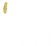 Angulated 15° Concave Anatomic Abutment 5.0mm - Internal Hex Ø2.42mm