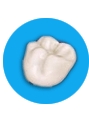 Crown and Bridge Products