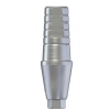 DSI Titanium Shoulder Straight Abutment - Internal Hex