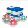 ClearView Single-Use Disposable Nasal Hood mask - Pedo (pkg. of 12)